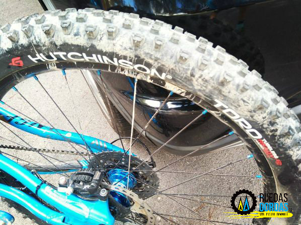 Escoba pasta pago 5 cubiertas traseras para Enduro MTB