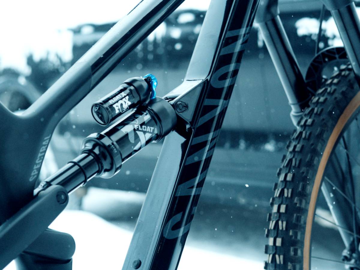 Starsamsticker, la tienda de pegatinas para bicicletas más grande 100%  personalizables